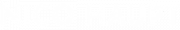 Nico Haupt Logo
